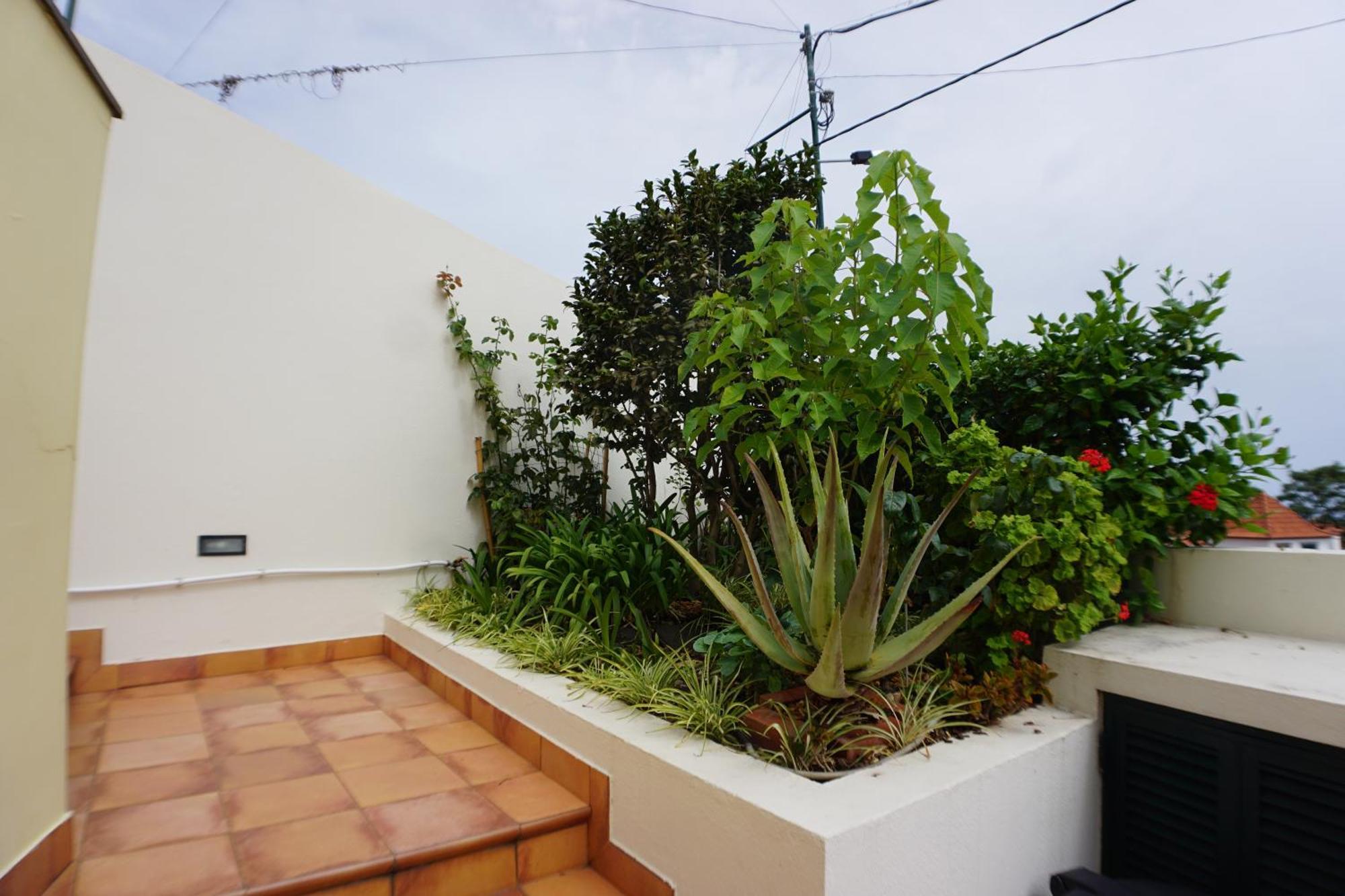 !Your Home In Madeira Φουνκάλ Εξωτερικό φωτογραφία